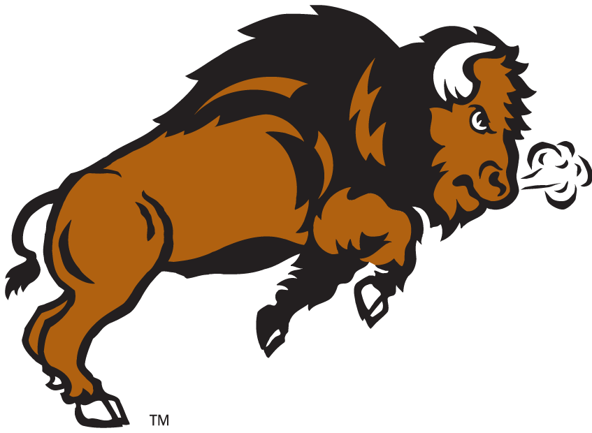 North Dakota State Bison 2005-2011 Secondary Logo t shirts DIY iron ons v3